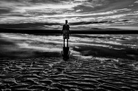 IMG_6513-Edit-2